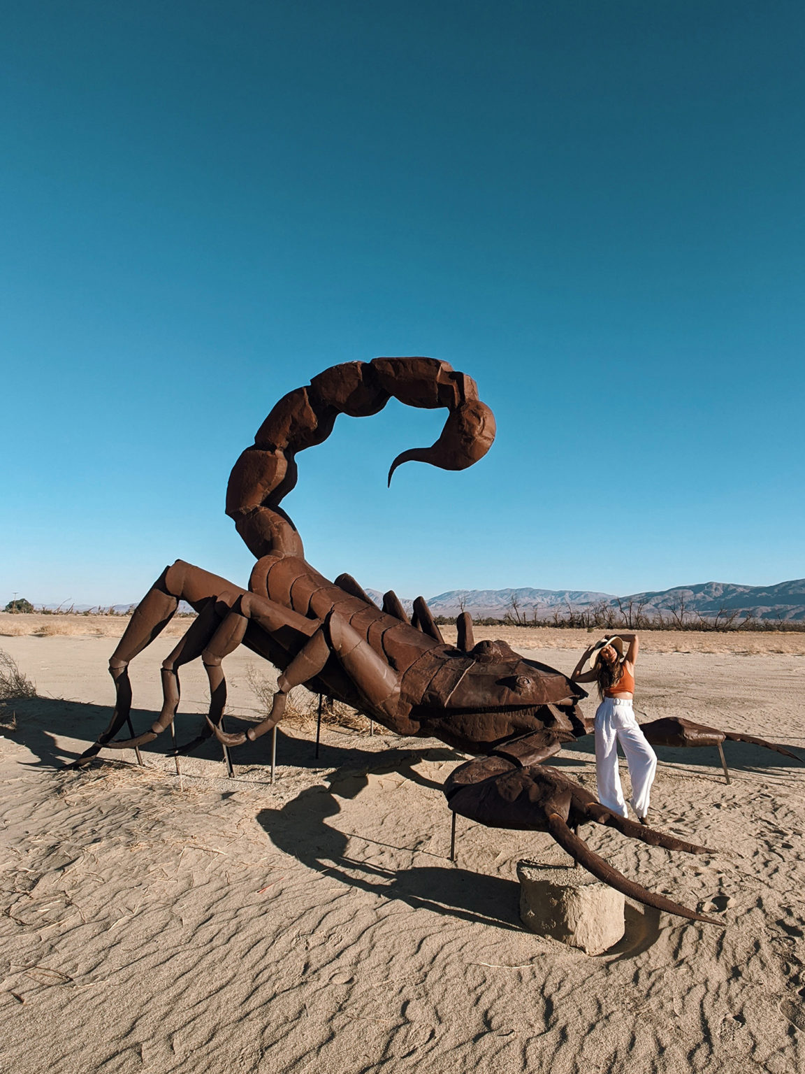 Top Things to do in Borrego Springs, California - Xio Arleen