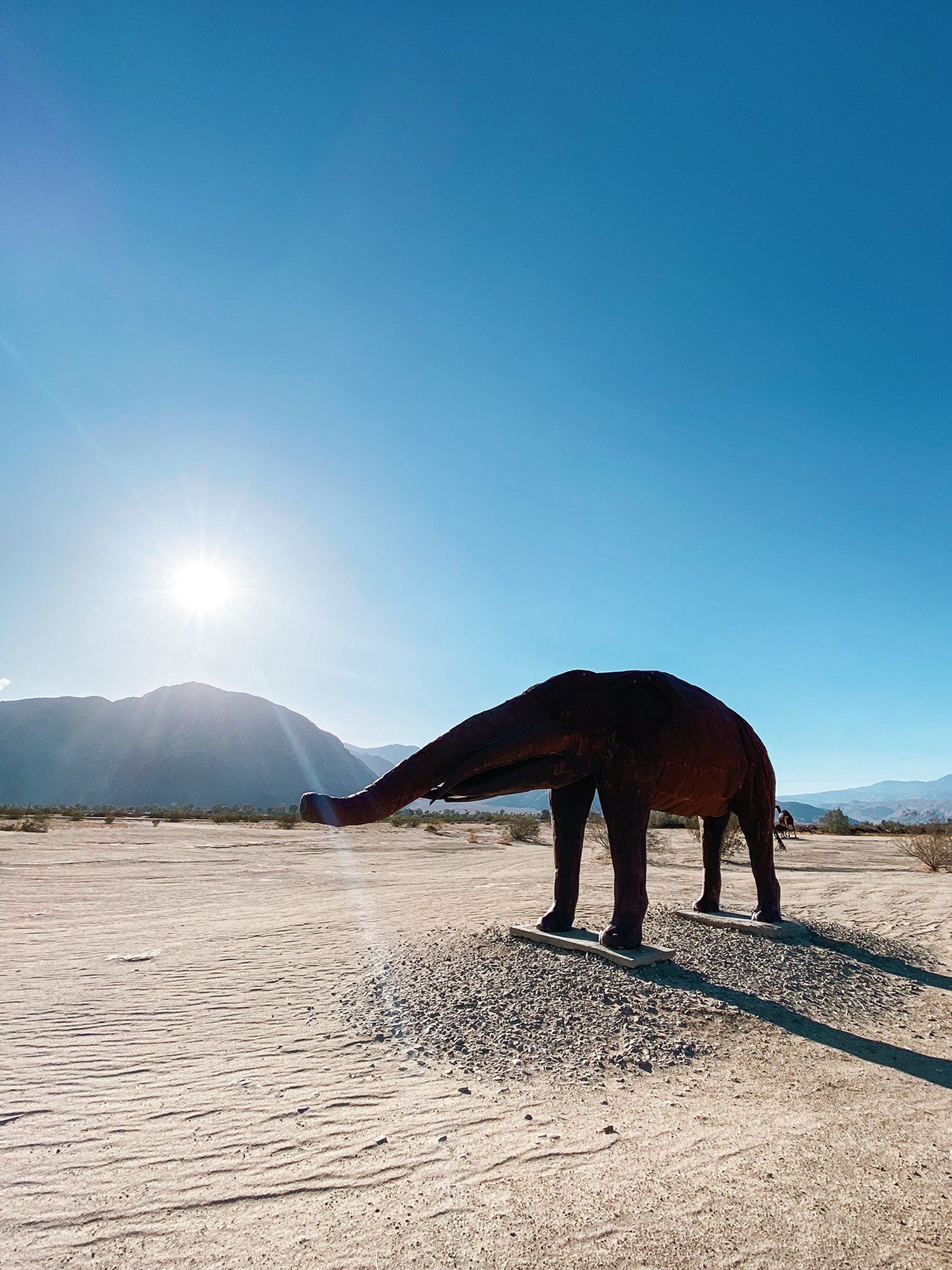 Top Things To Do In Borrego Springs, California - Xio Arleen