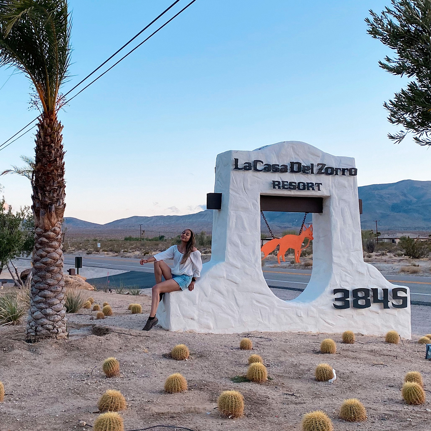 Top Things To Do In Borrego Springs, California - Xio Arleen